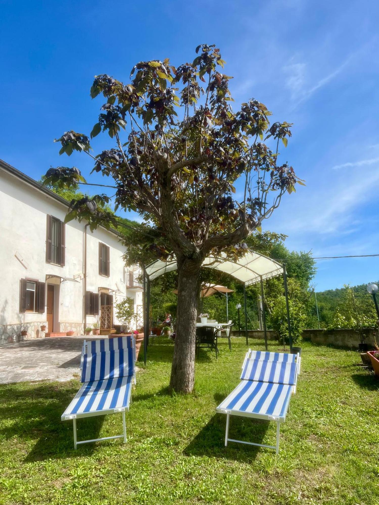 Chez Vittoria Hotel Greccio Bagian luar foto